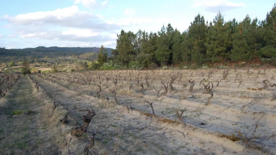 Terreno para Venda em Três Povos
