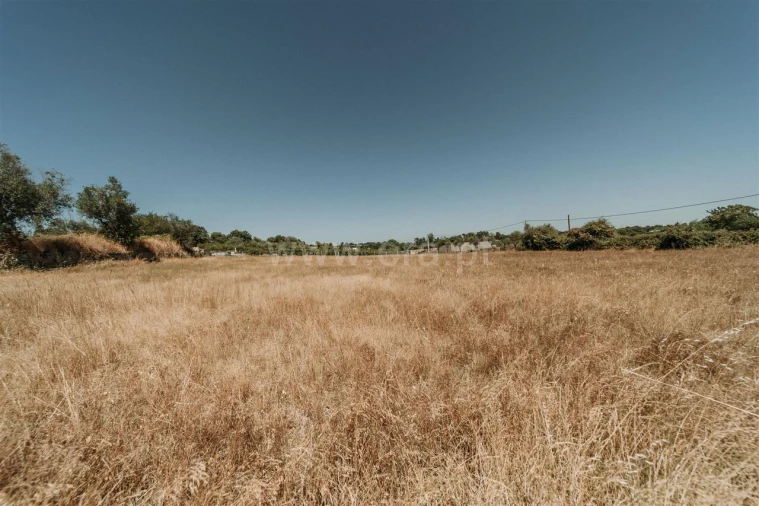 Quinta T1 para Venda em Soalheira Foto 13