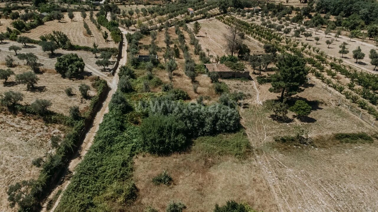 Quinta T1 para Venda em Soalheira Foto 7