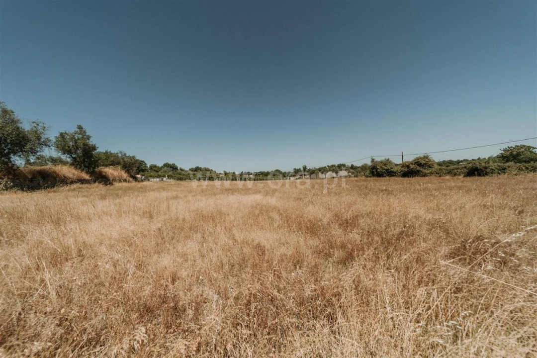 Quinta T1 para Venda em Soalheira Foto 13