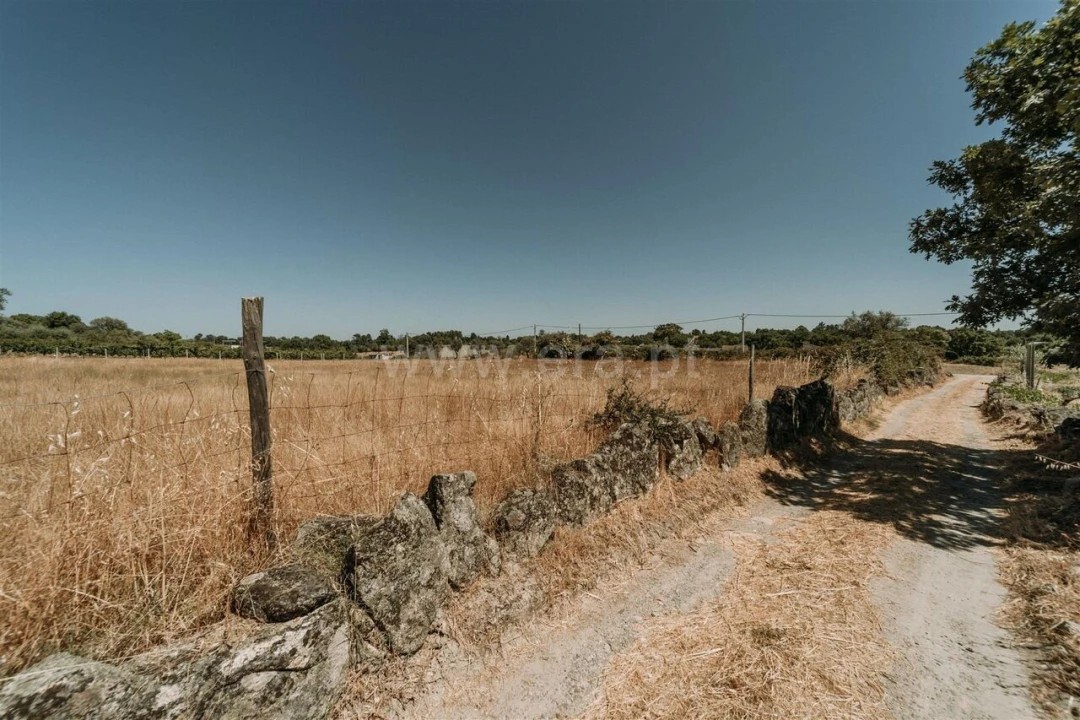 Quinta T1 para Venda em Soalheira Foto 8