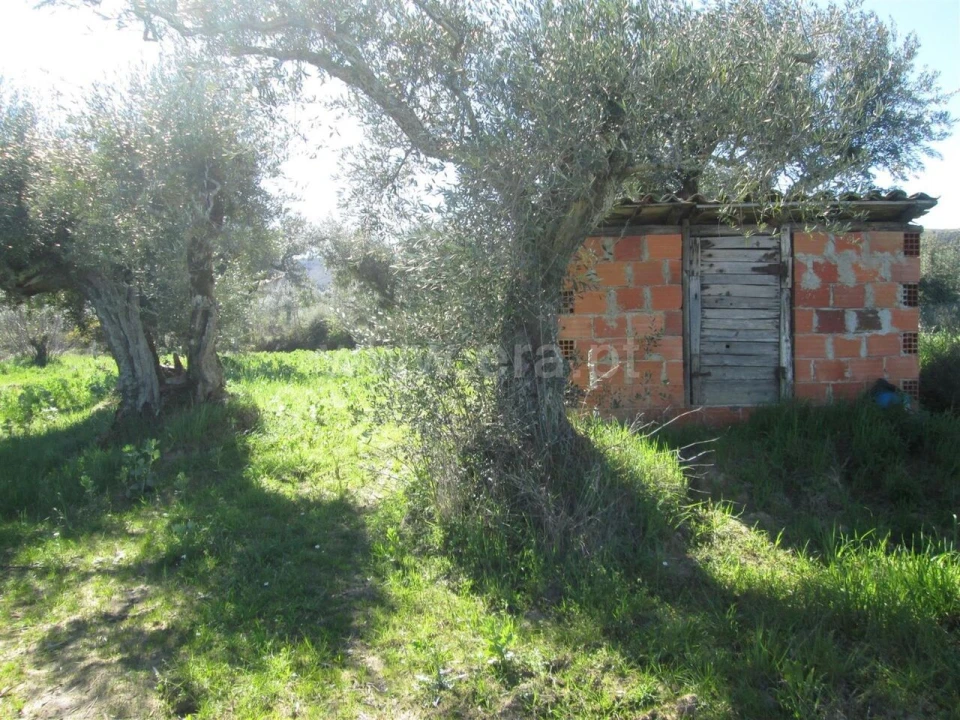 Quinta T1 para Venda em Telhado Foto 3