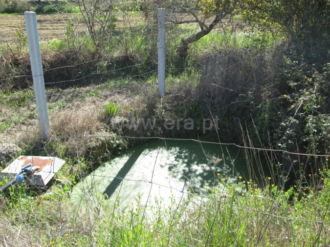 Quinta T1 para Venda em Telhado Foto 4