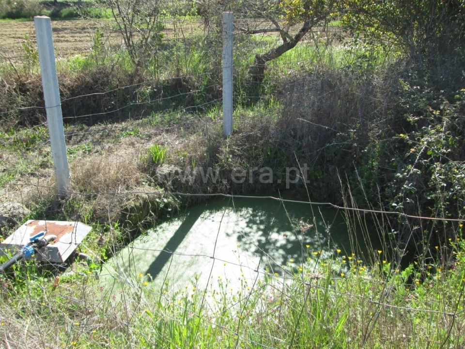 Quinta T1 para Venda em Telhado Foto 4