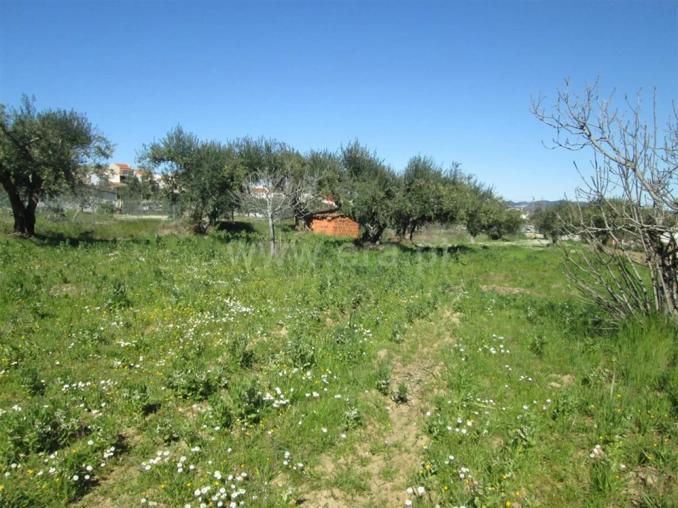 Quinta T1 para Venda em Telhado Foto 5