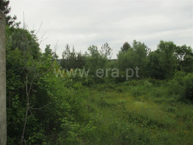 Terreno para Venda em Enxames Foto 6