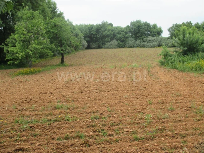 Terreno para Venda em Enxames Foto 5