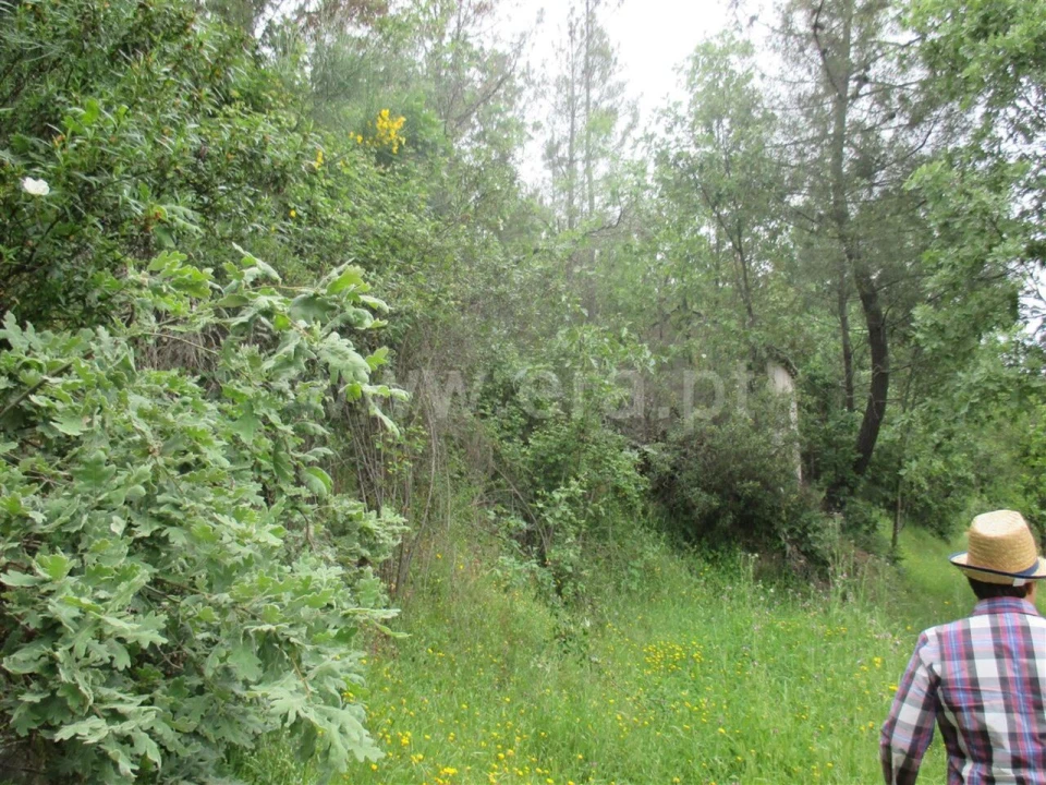 Terreno para Venda em Enxames Foto 4
