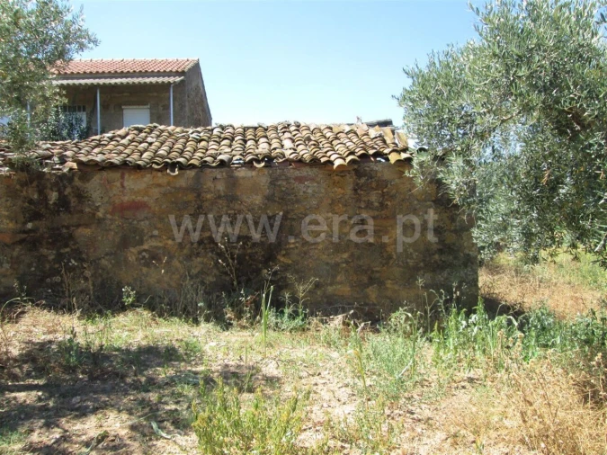 Quinta T0 para Venda em Enxames Foto 6