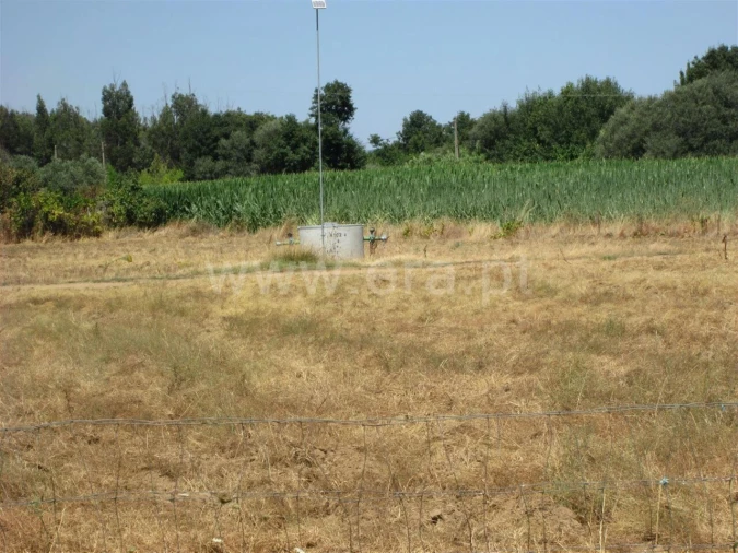 Quinta T0 para Venda em Enxames Foto 3