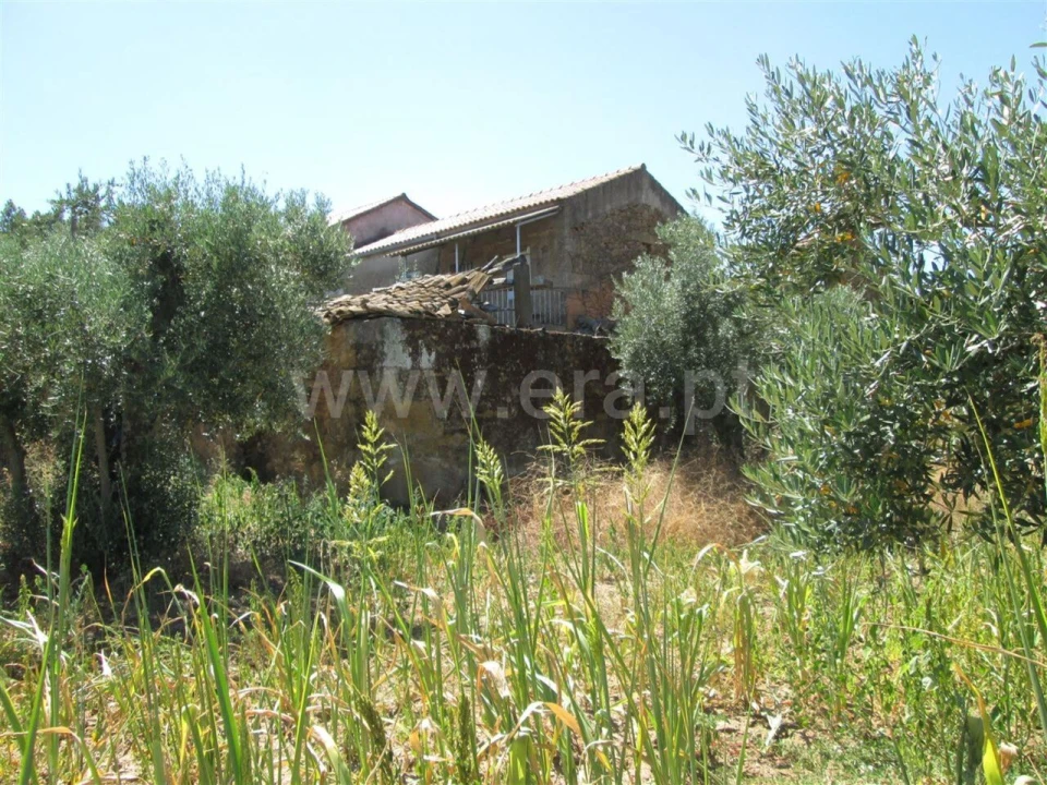 Quinta T0 para Venda em Enxames Foto 5