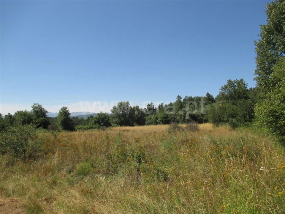 Terreno para Venda em Enxames Foto 3