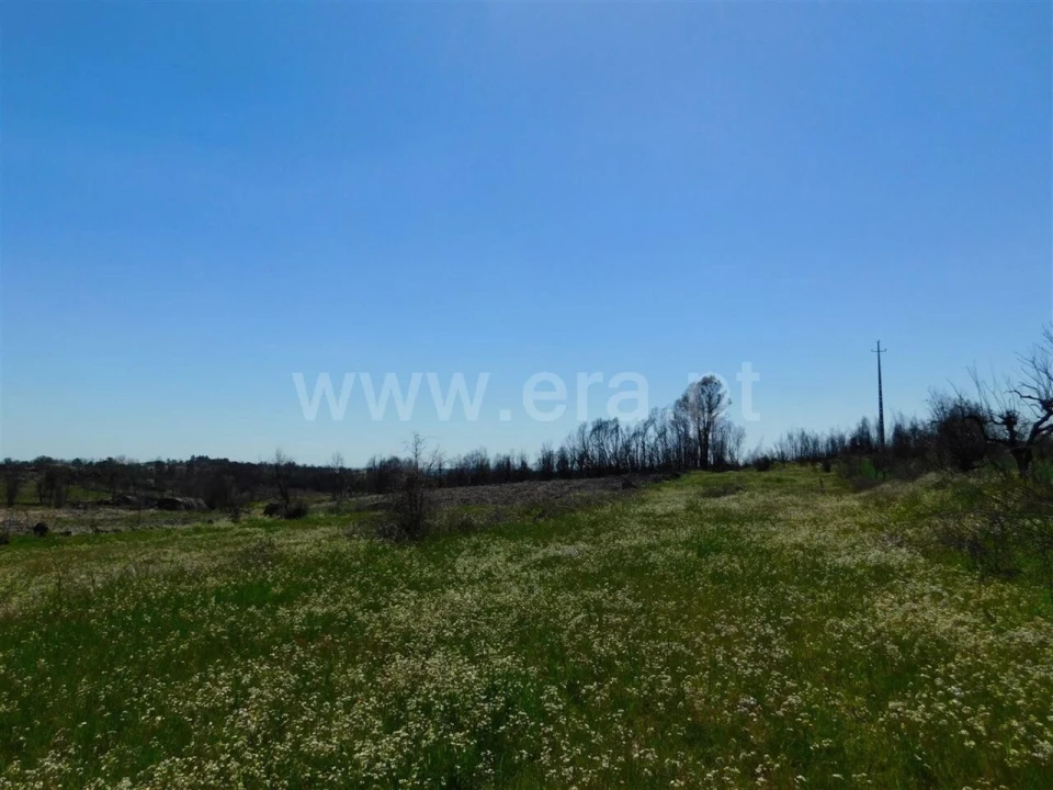 Terreno para Venda em Soalheira Foto 4