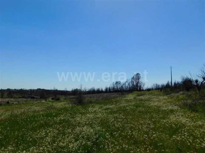 Terreno para Venda em Soalheira Foto 4