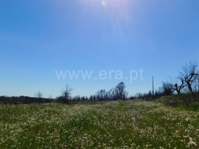 Terreno para Venda em Soalheira Foto 5