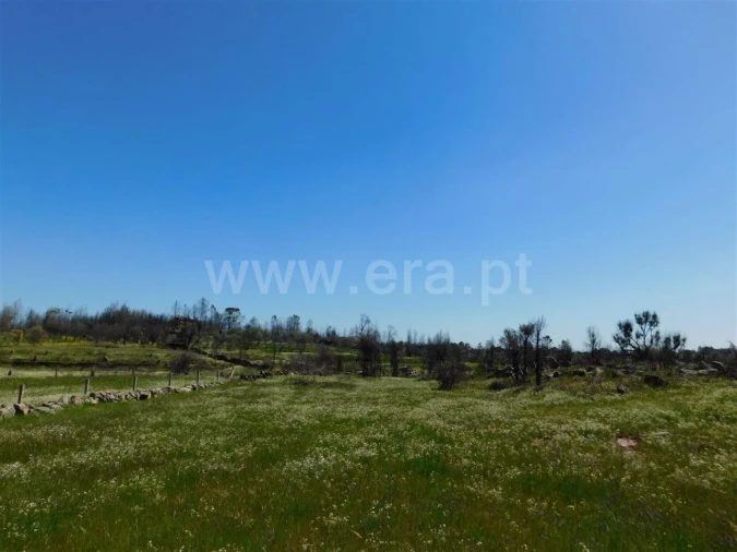 Terreno para Venda em Soalheira Foto 2