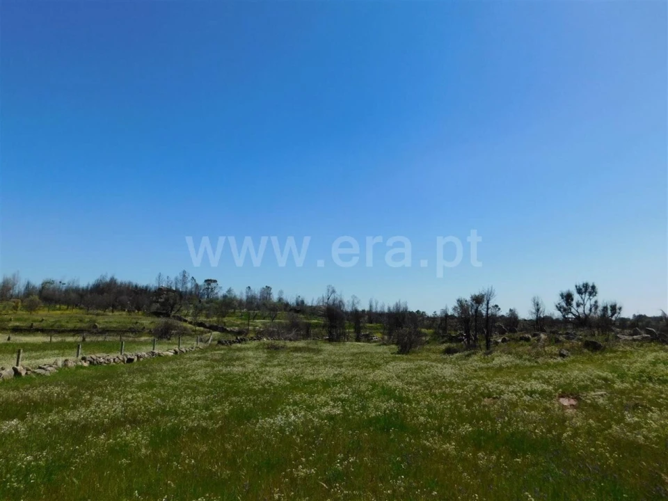 Terreno para Venda em Soalheira Foto 2