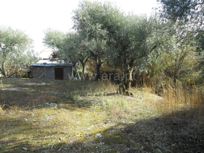 Quinta T0 para Venda em Telhado Foto 2