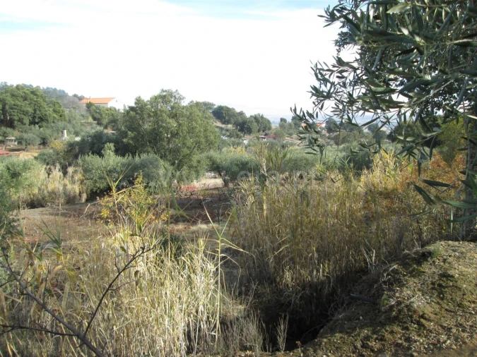 Quinta T0 para Venda em Telhado Foto 4