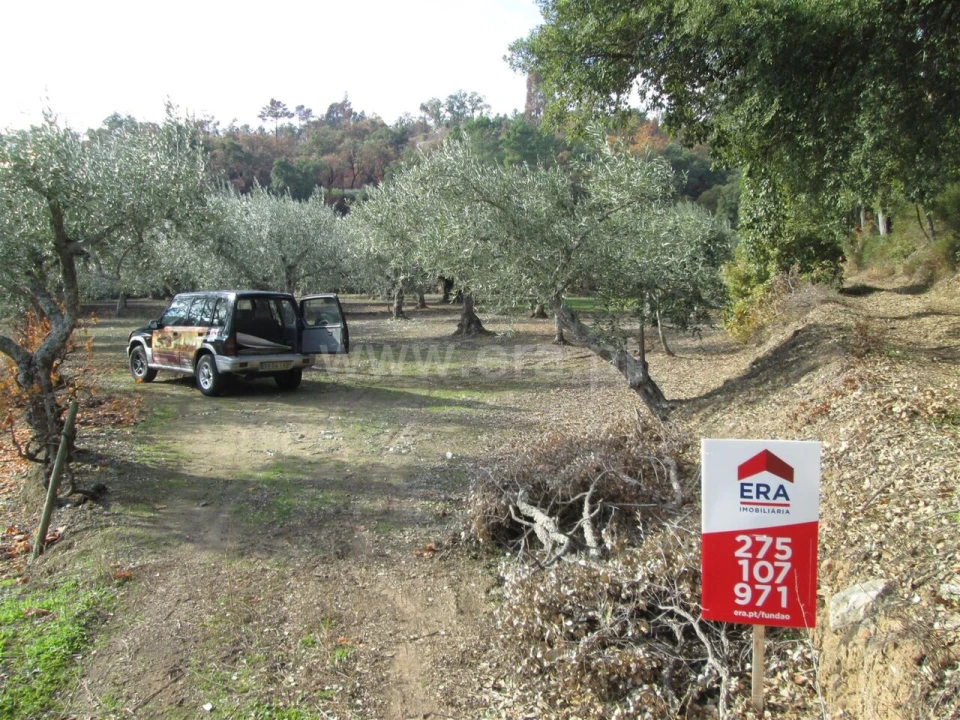 Quinta T0 para Venda em Telhado Foto 10