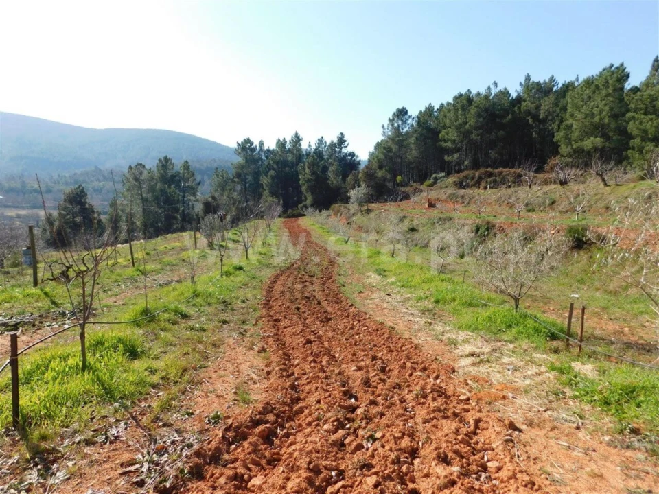 Quinta T0 para Venda em Alcaide Foto 3