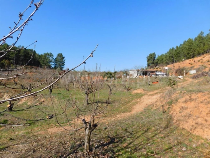 Quinta T0 para Venda em Alcaide Foto 6