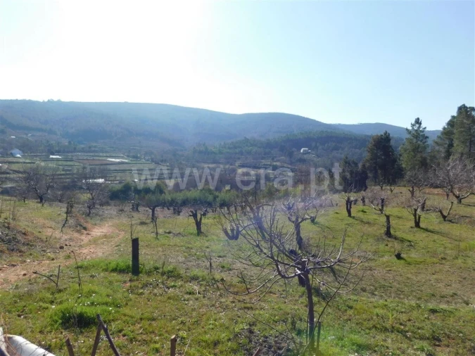 Quinta T0 para Venda em Alcaide Foto 2