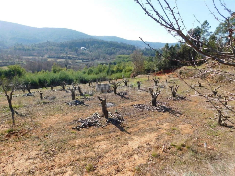 Quinta T0 para Venda em Alcaide Foto 5