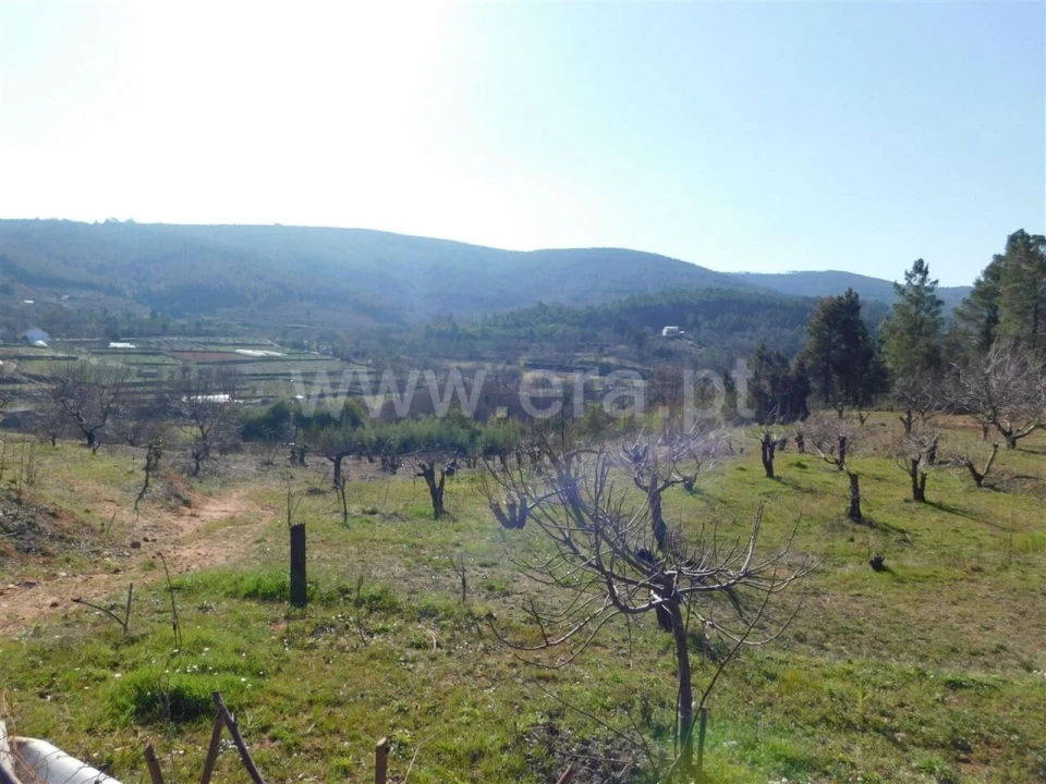 Quinta T0 para Venda em Alcaide Foto 2