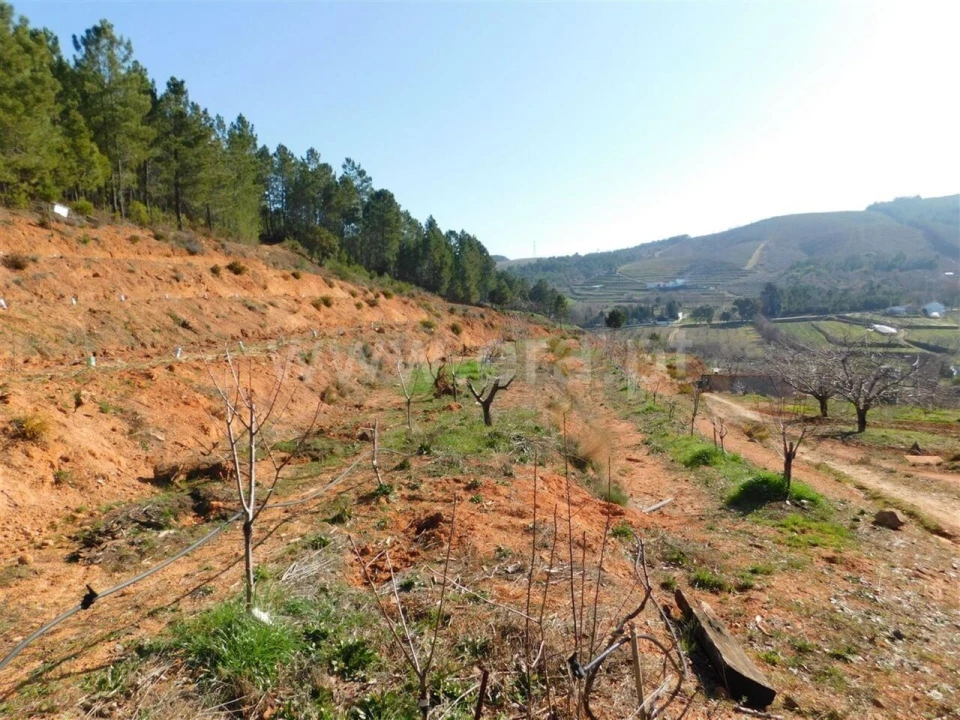 Quinta T0 para Venda em Alcaide Foto 4