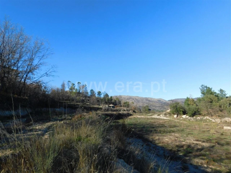 Terreno para Venda em Castelo Novo Foto 9