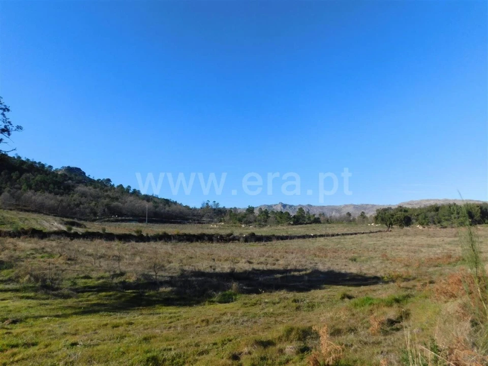Terreno para Venda em Castelo Novo Foto 17