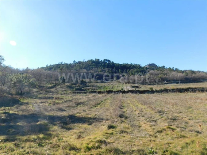 Terreno para Venda em Castelo Novo Foto 18