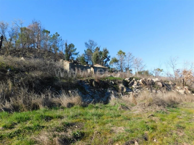 Terreno para Venda em Castelo Novo Foto 4