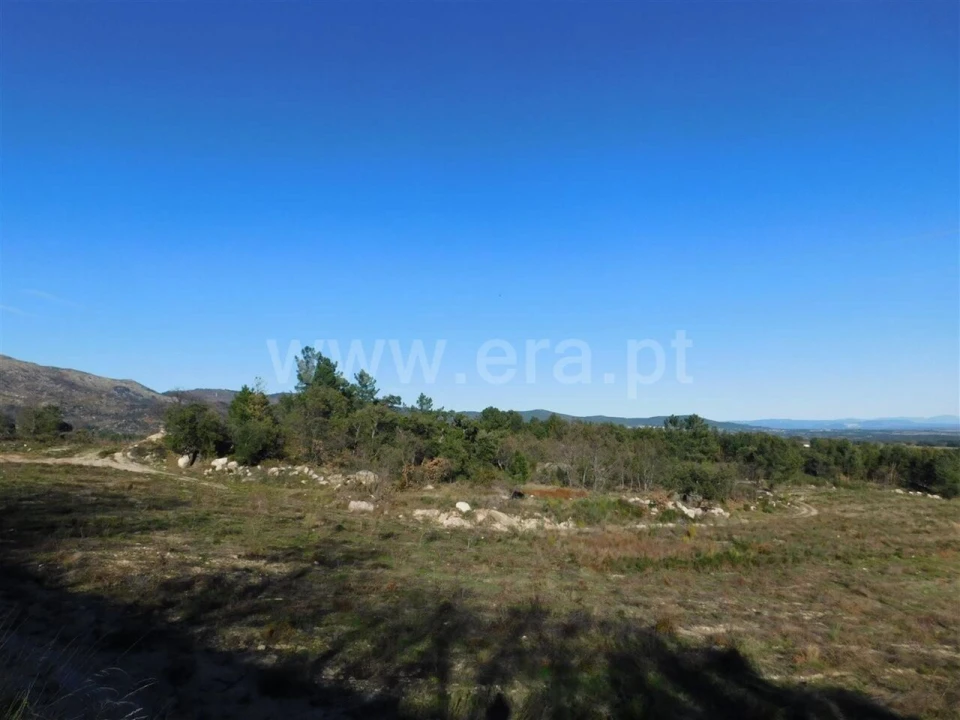 Terreno para Venda em Castelo Novo Foto 8