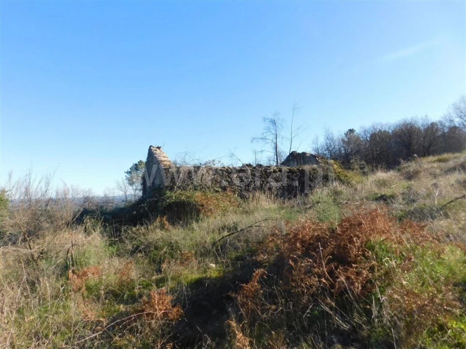 Terreno para Venda em Castelo Novo Foto 11