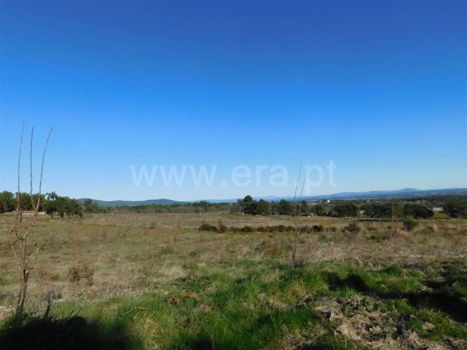 Terreno para Venda em Castelo Novo Foto 14