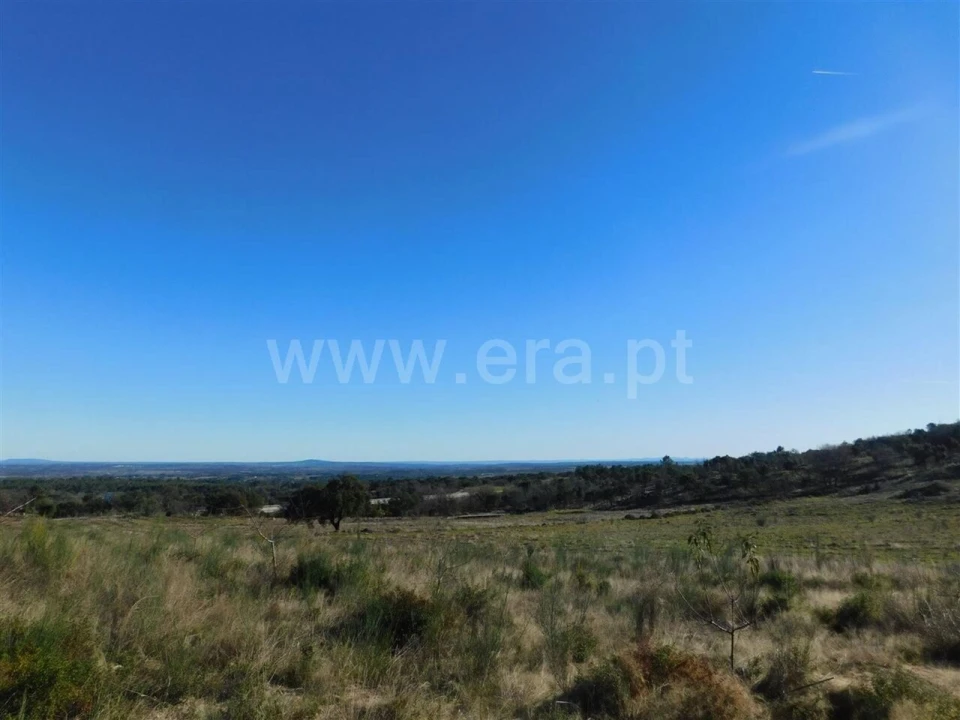Terreno para Venda em Castelo Novo Foto 3