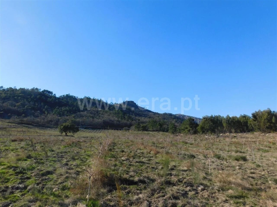 Terreno para Venda em Castelo Novo Foto 2