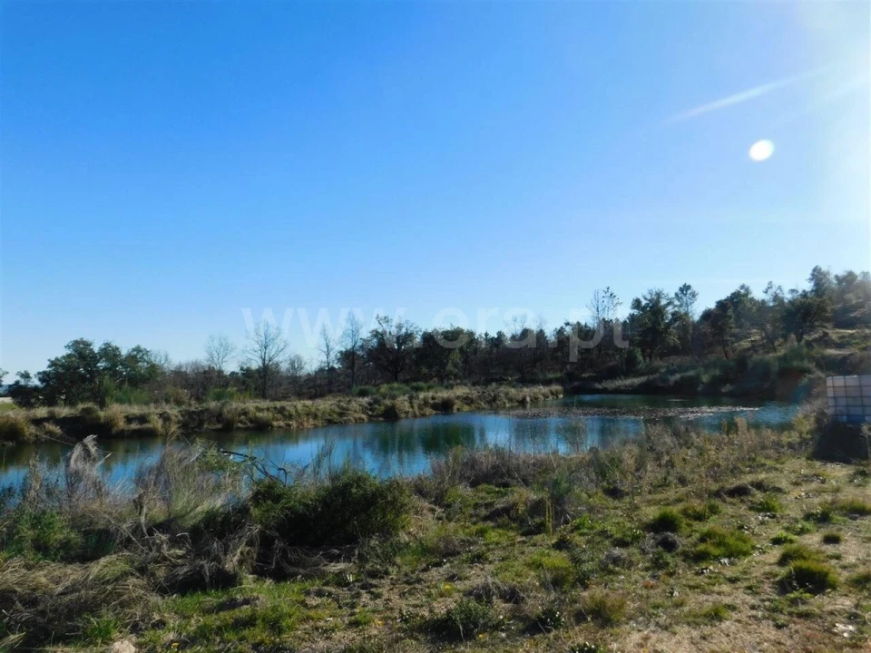 Terreno para Venda em Castelo Novo Foto 19