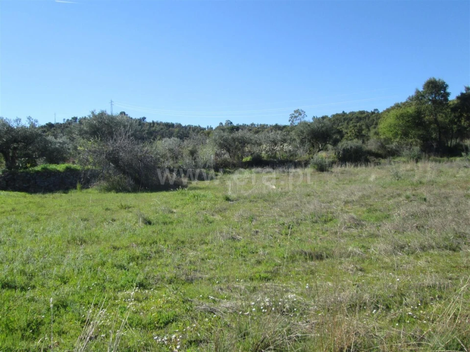 Terreno para Venda em Telhado Foto 1
