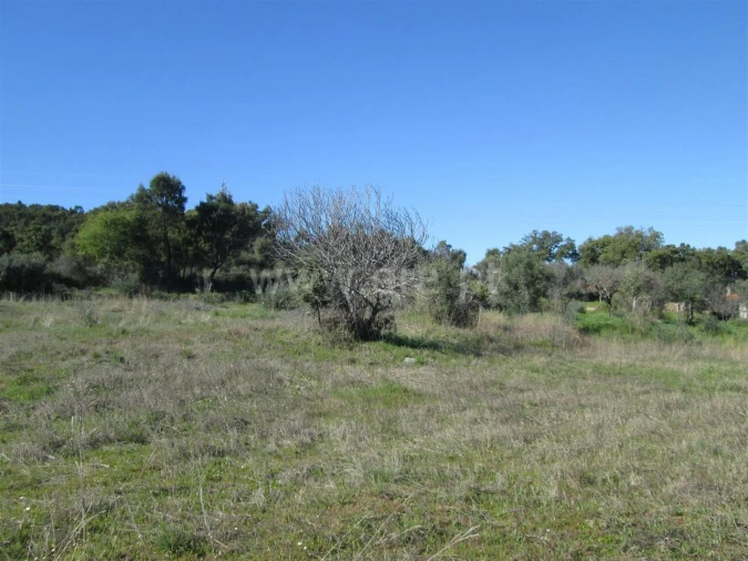Terreno para Venda em Telhado Foto 2