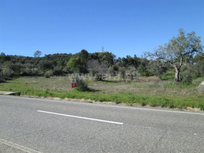 Terreno para Venda em Telhado Foto 6