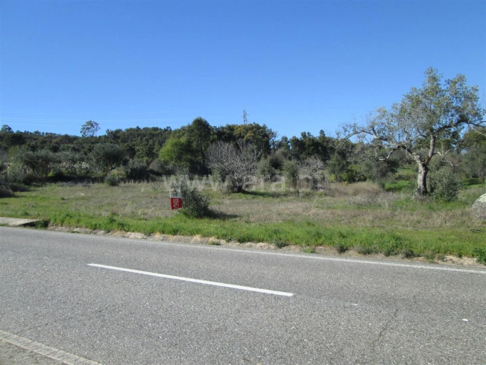 Terreno para Venda em Telhado Foto 6