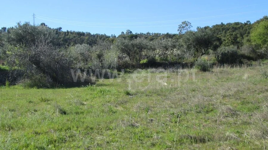Terreno para Venda em Telhado