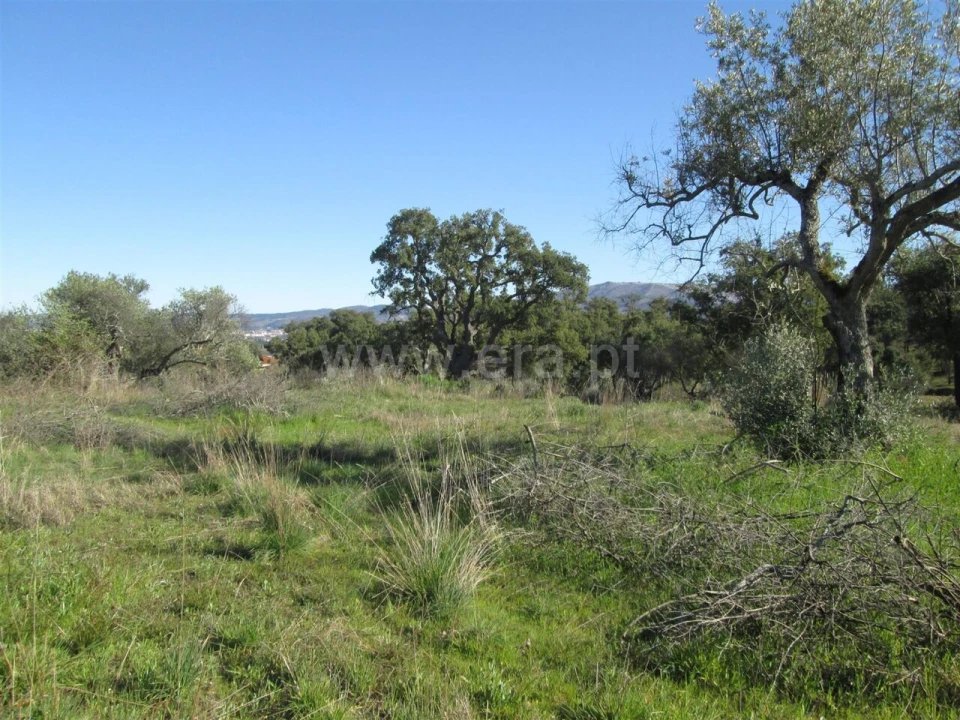 Terreno para Venda em Telhado Foto 3