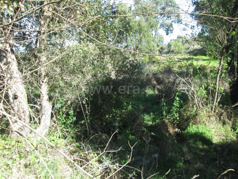 Terreno para Venda em Telhado Foto 3