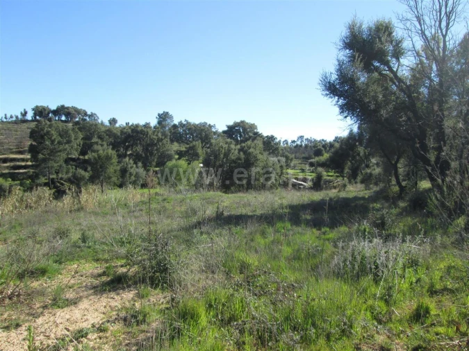 Terreno para Venda em Telhado Foto 9