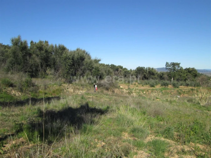 Terreno para Venda em Telhado Foto 10