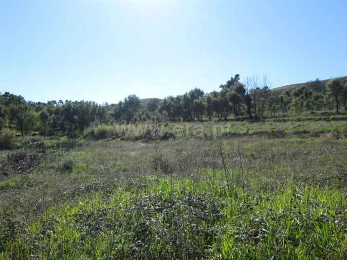 Terreno para Venda em Telhado Foto 8